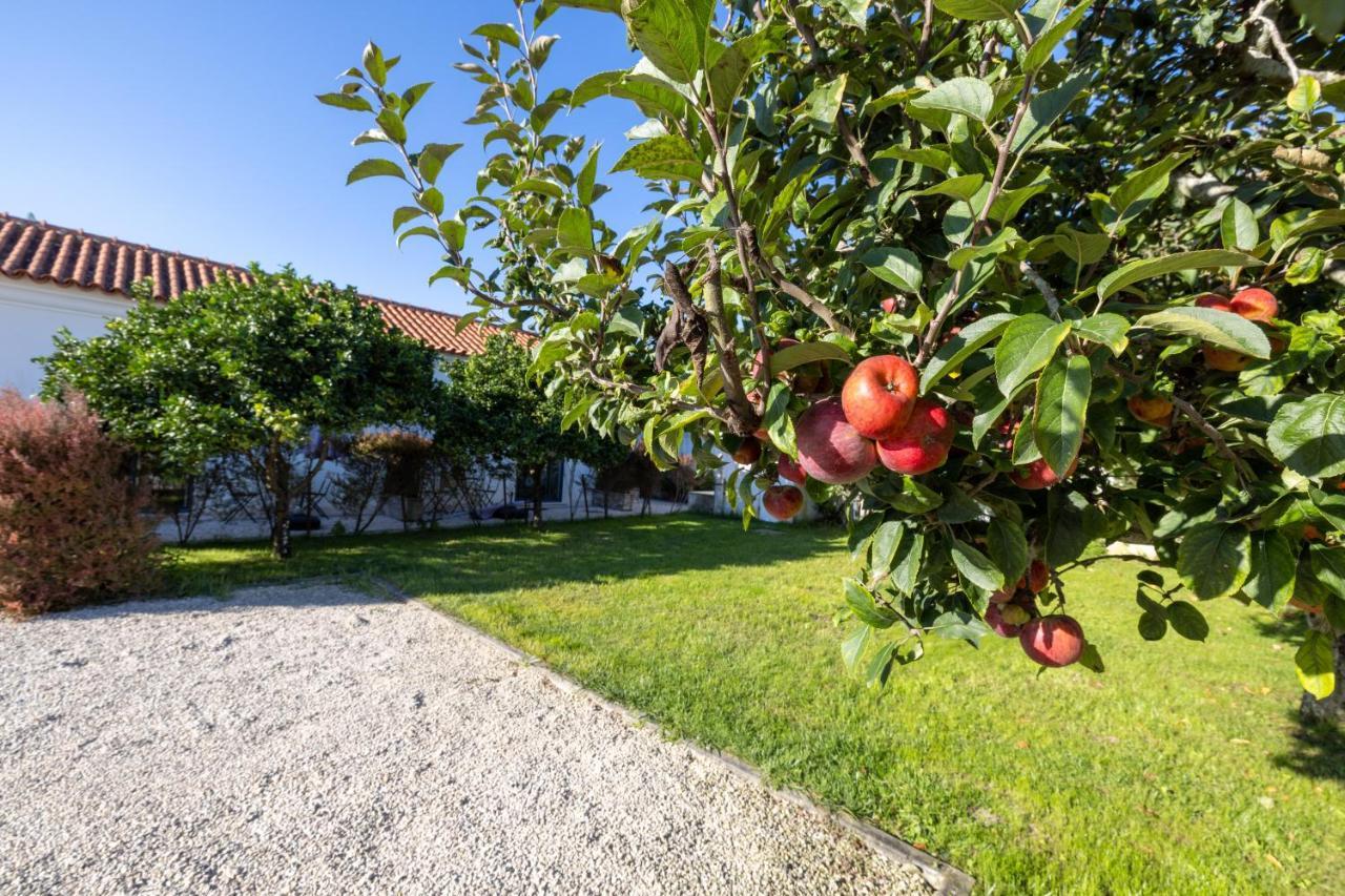 Casa Da Lagoa E Forja - Turismo Rural Mira  Exteriér fotografie